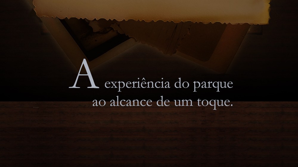 - Harry Potter's Totem - 4 - Harry Potter's Totem - 4